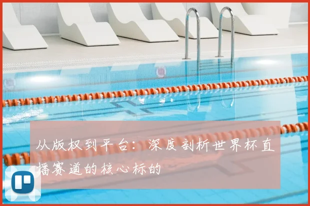 从版权到平台:深度剖析世界杯直播赛道的核心标的