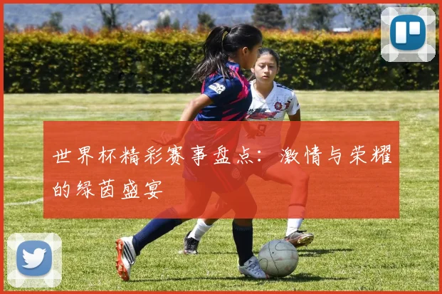 世界杯精彩赛事盘点:激情与荣耀的绿茵盛宴
