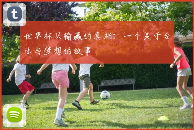 世界杯买输赢的真相:一个关于合法与梦想的故事