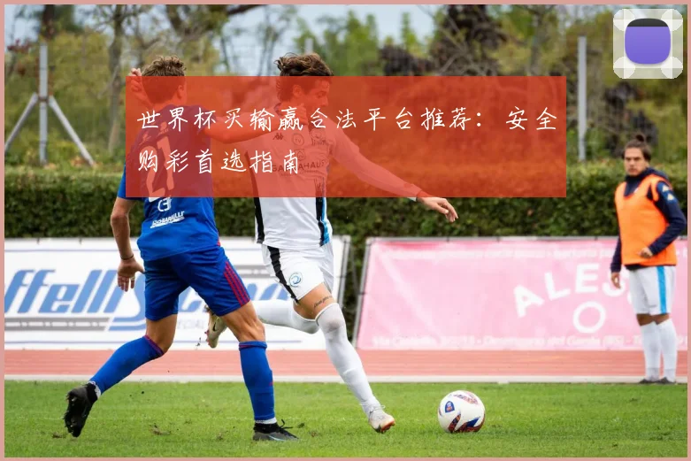 世界杯买输赢合法平台推荐:安全购彩首选指南