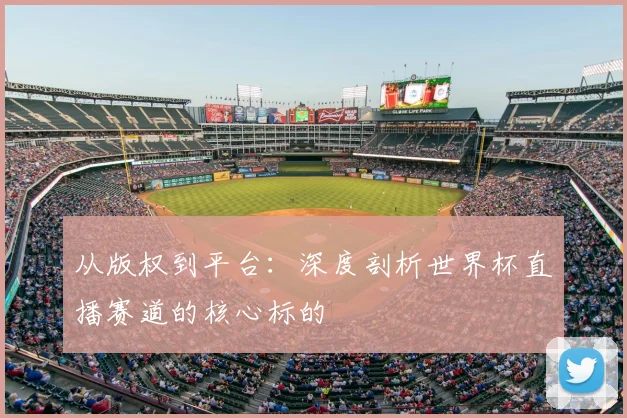 从版权到平台:深度剖析世界杯直播赛道的核心标的