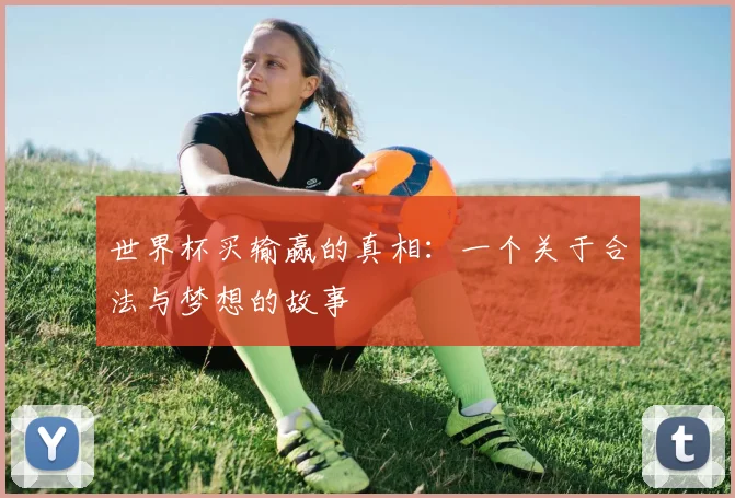 世界杯买输赢的真相:一个关于合法与梦想的故事
