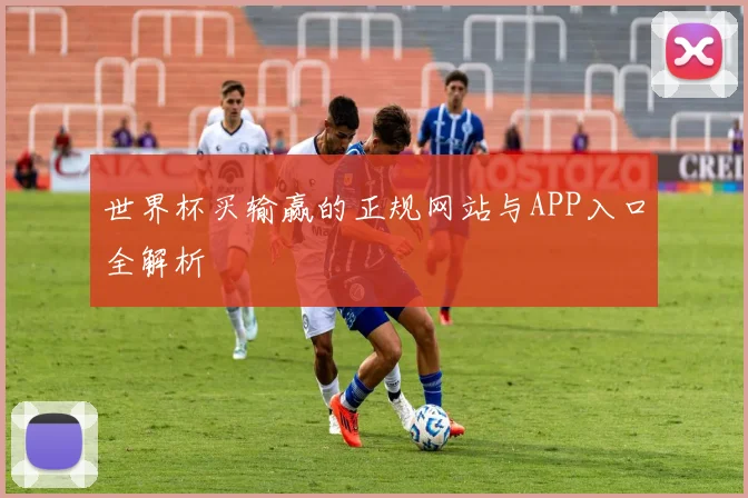 世界杯买输赢的正规网站与APP入口全解析