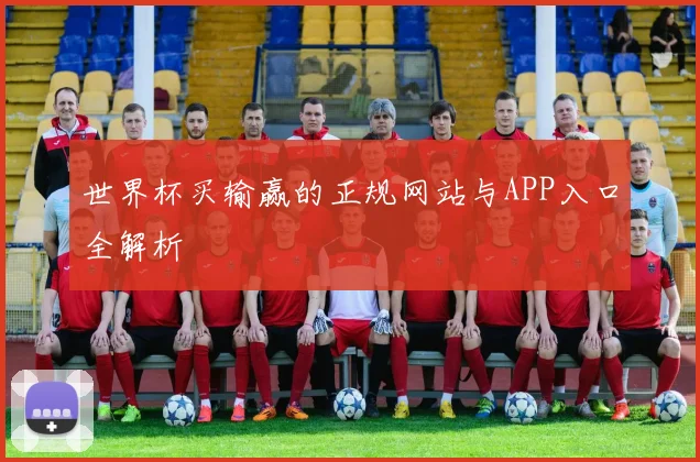 世界杯买输赢的正规网站与APP入口全解析