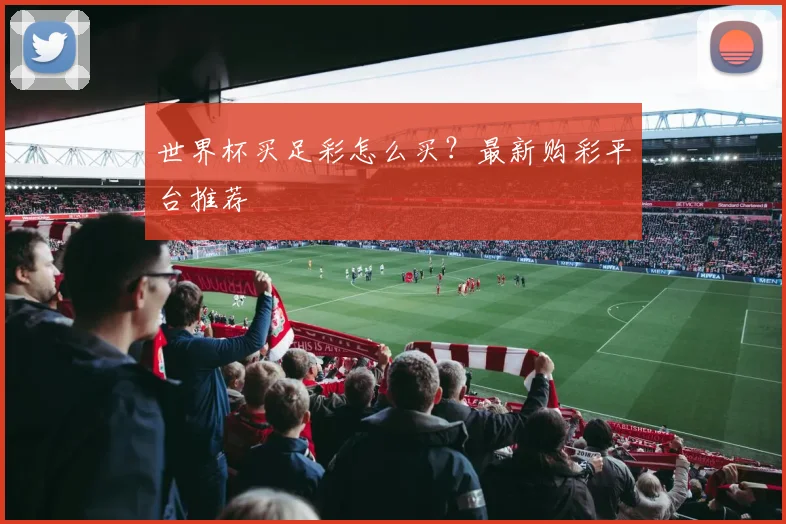 世界杯买足彩怎么买?最新购彩平台推荐